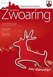 Zwoaring Z273