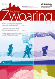 Zwoaring Z313