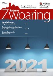 Zwoaring Z334