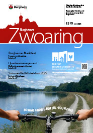 Zwoaring Z379